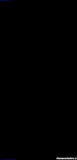 سونیا نیکخو