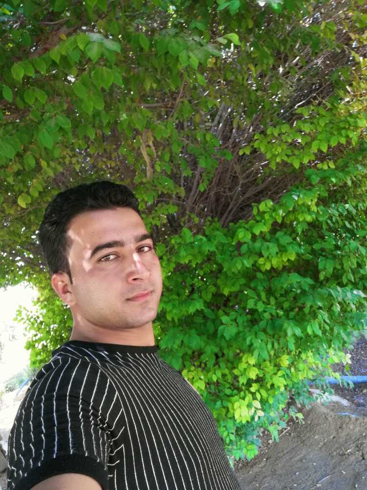 حسین محمدی