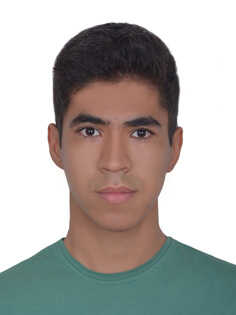 ابوالفضل کاملی