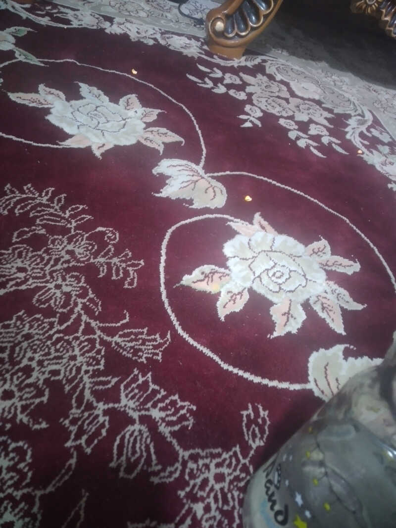 فرهاد رشید پور