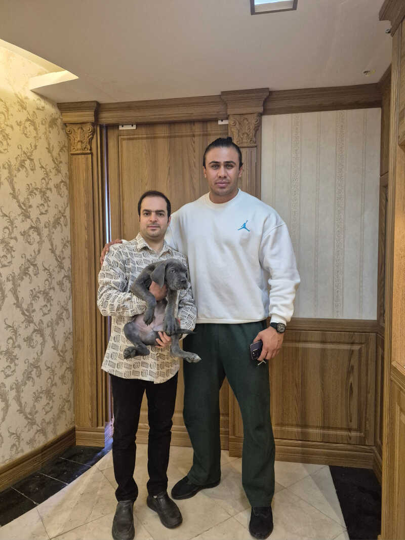 provider user card avatar