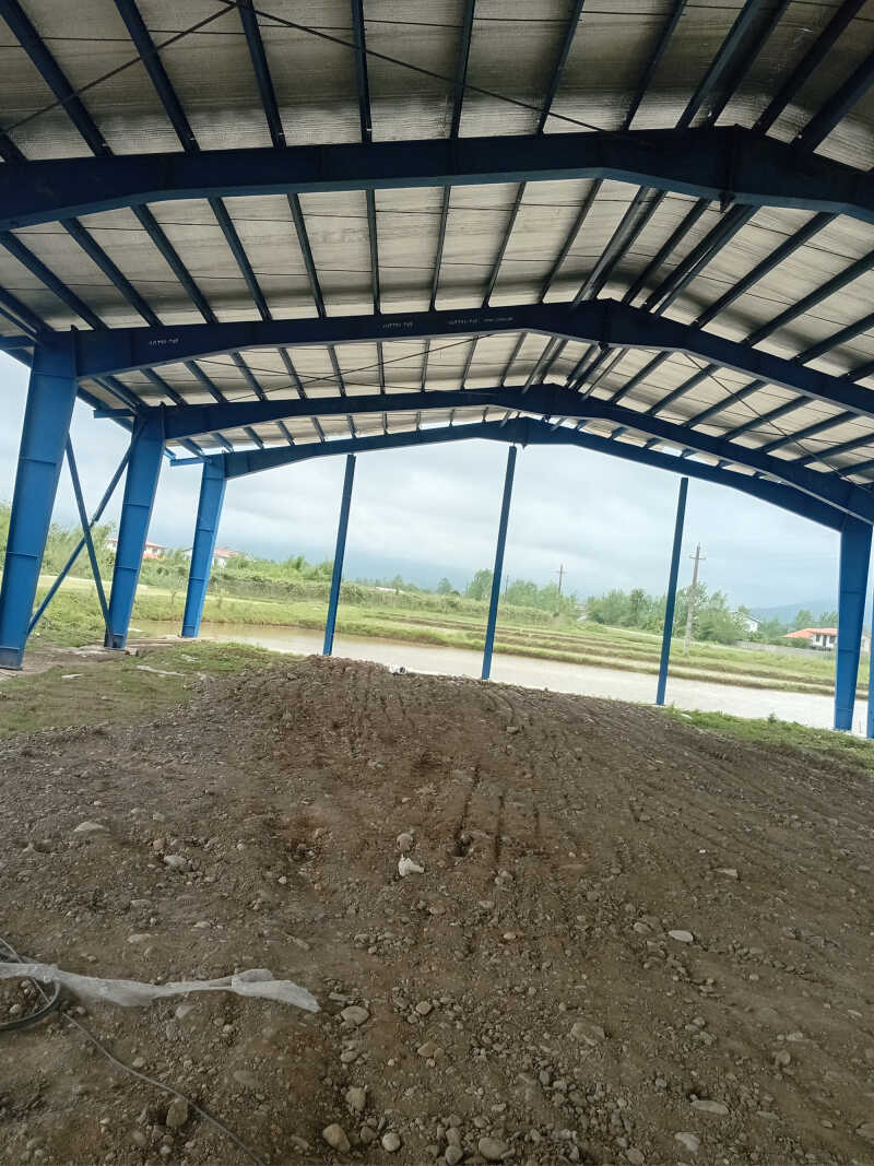 فرید عاشوریان