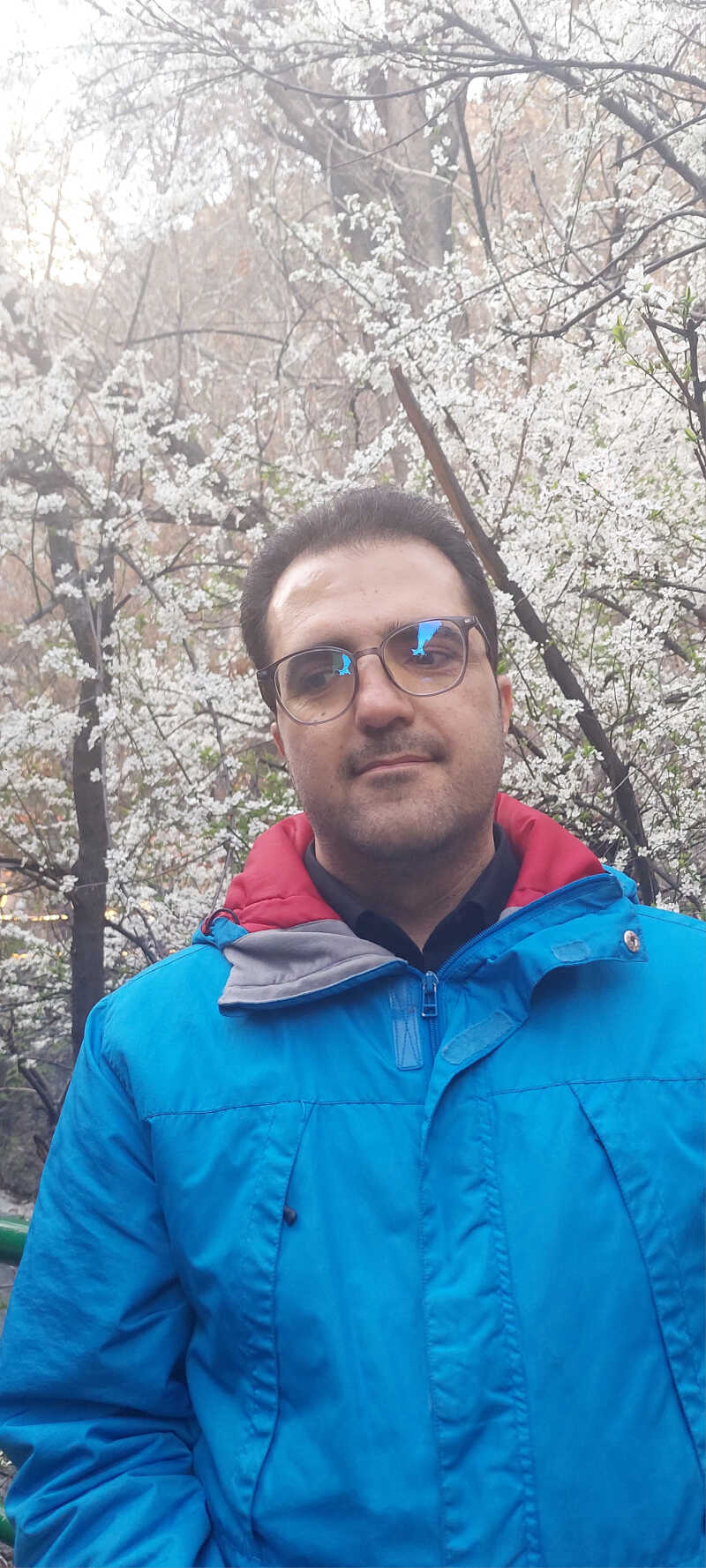 provider user card avatar