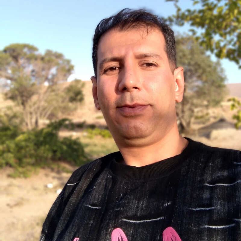وحید محمدی