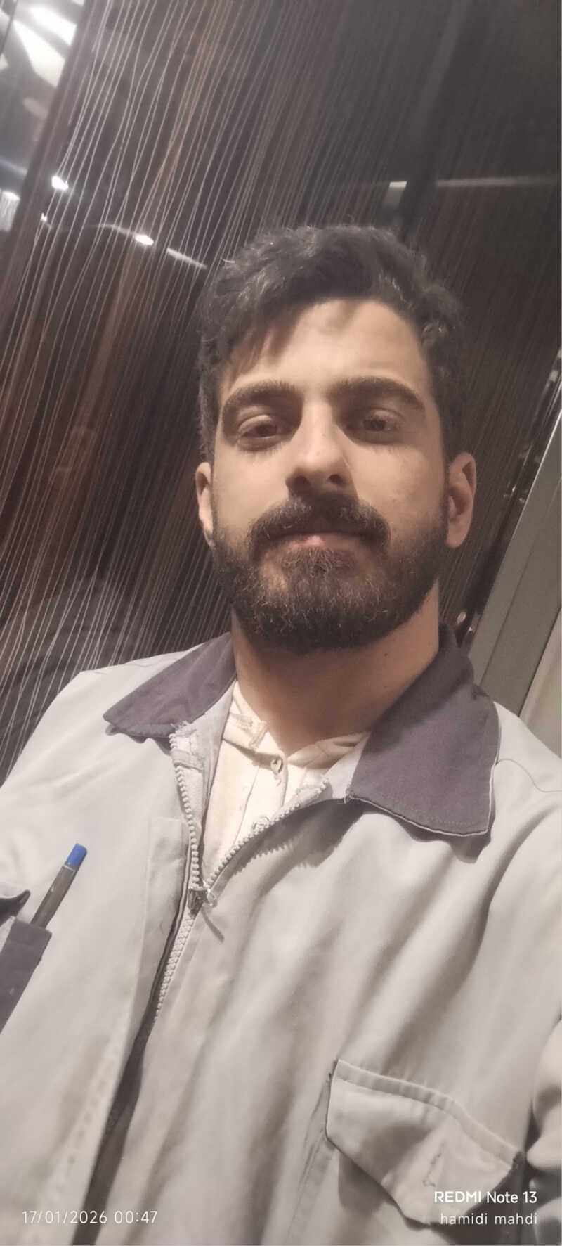 محمد مهدی حمیدی