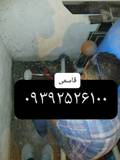 ابوالقاسم قاسمی
