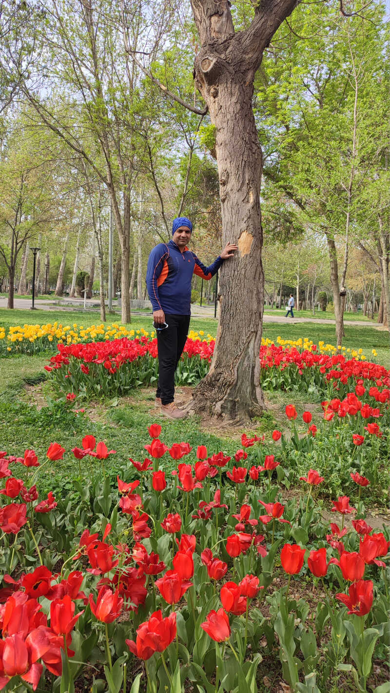 provider user card avatar