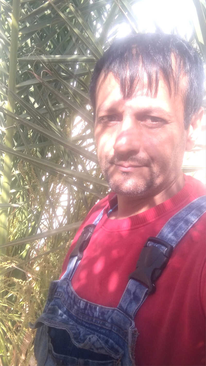 علی گودرزی