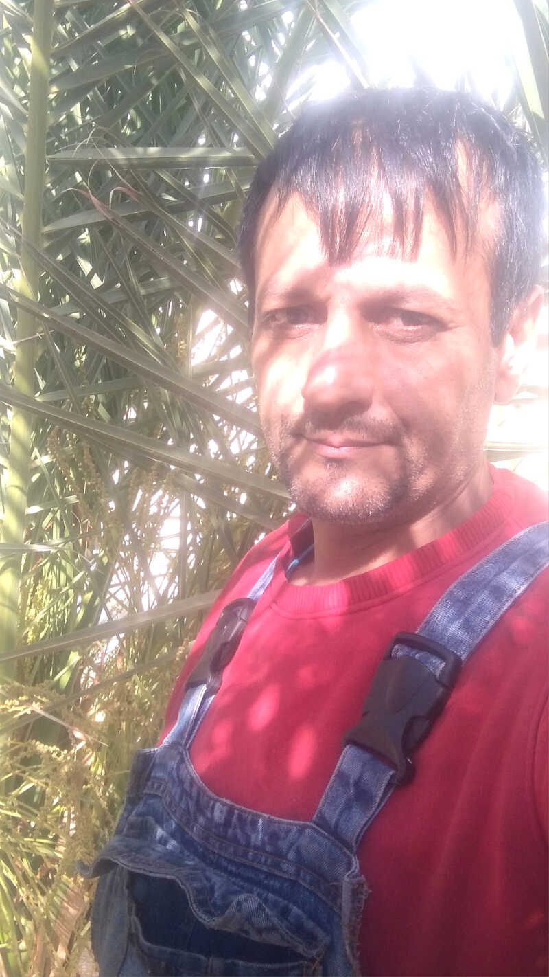 علی گودرزی