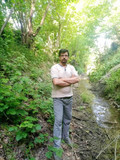 مجتبی عامری