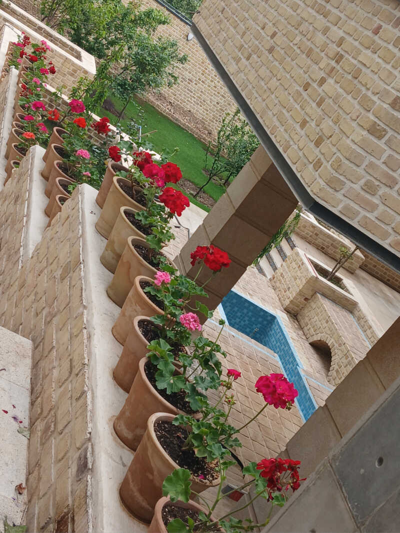 علی سرمدی