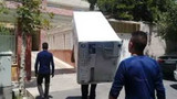 محمود دهشتی