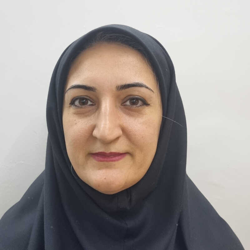 فیروزه حسین زاده سیبنی