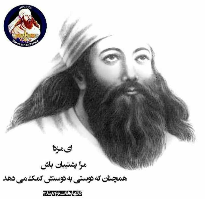 علی نگاری