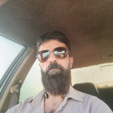 فرید صادقی