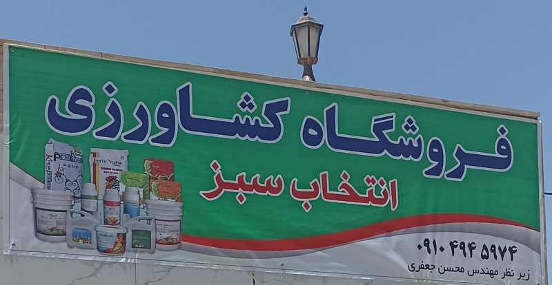 محسن جعفری