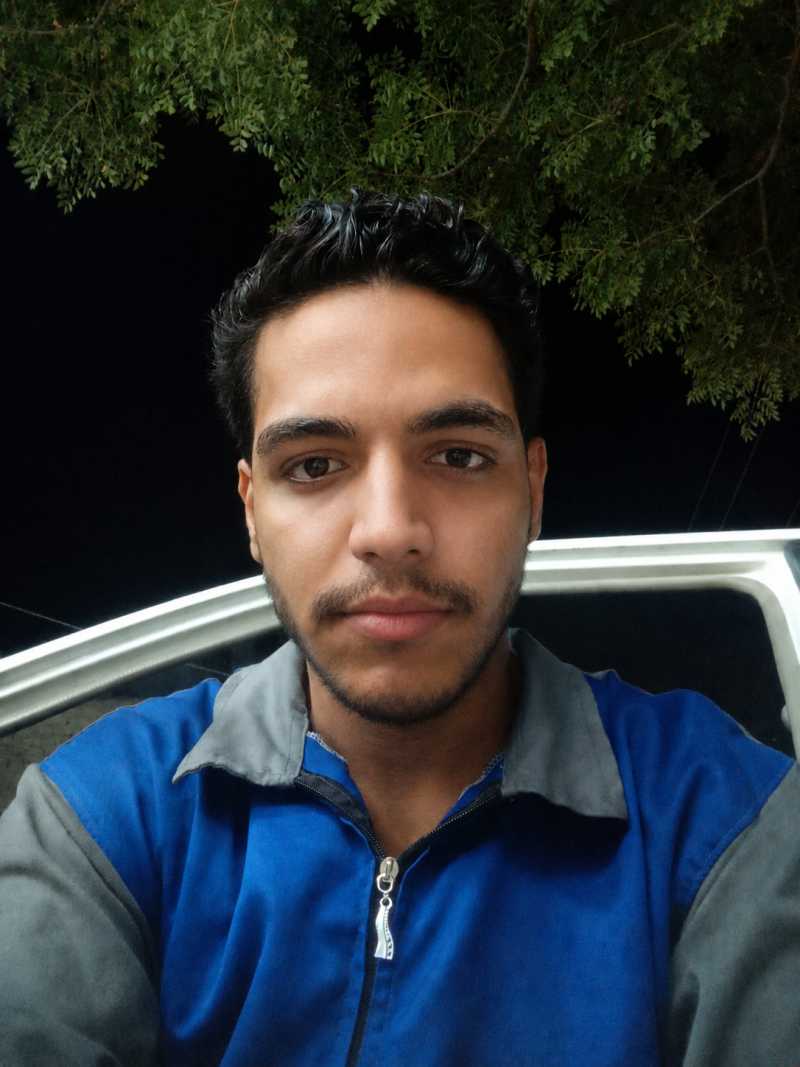 امیر محمد ذوالفقاری