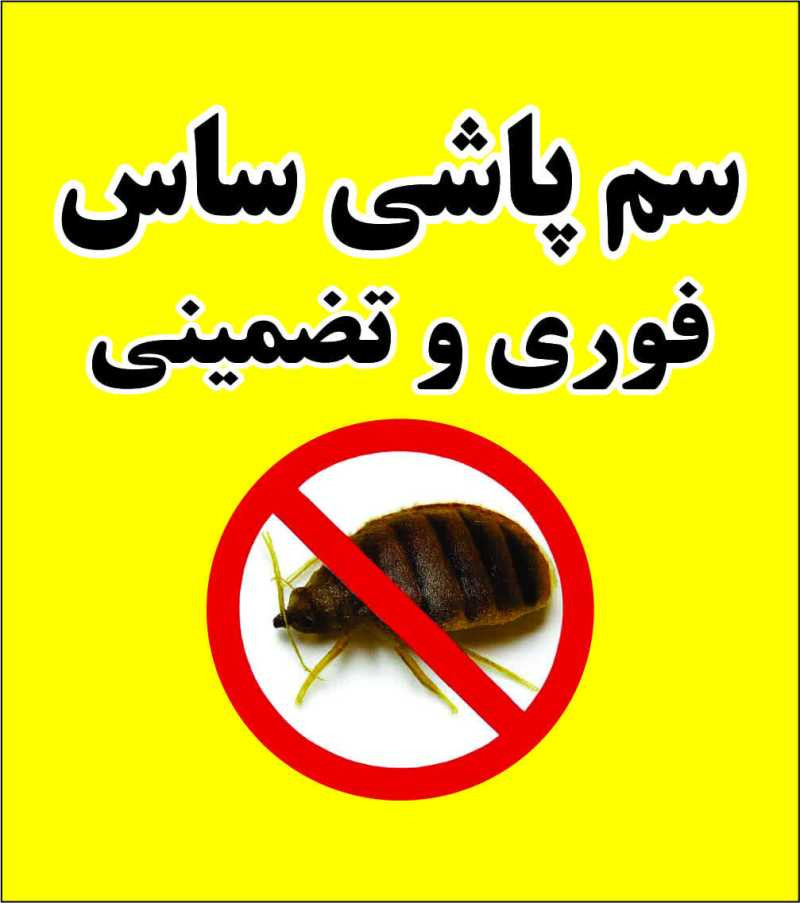علی غیاثوند