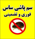 علی غیاثوند