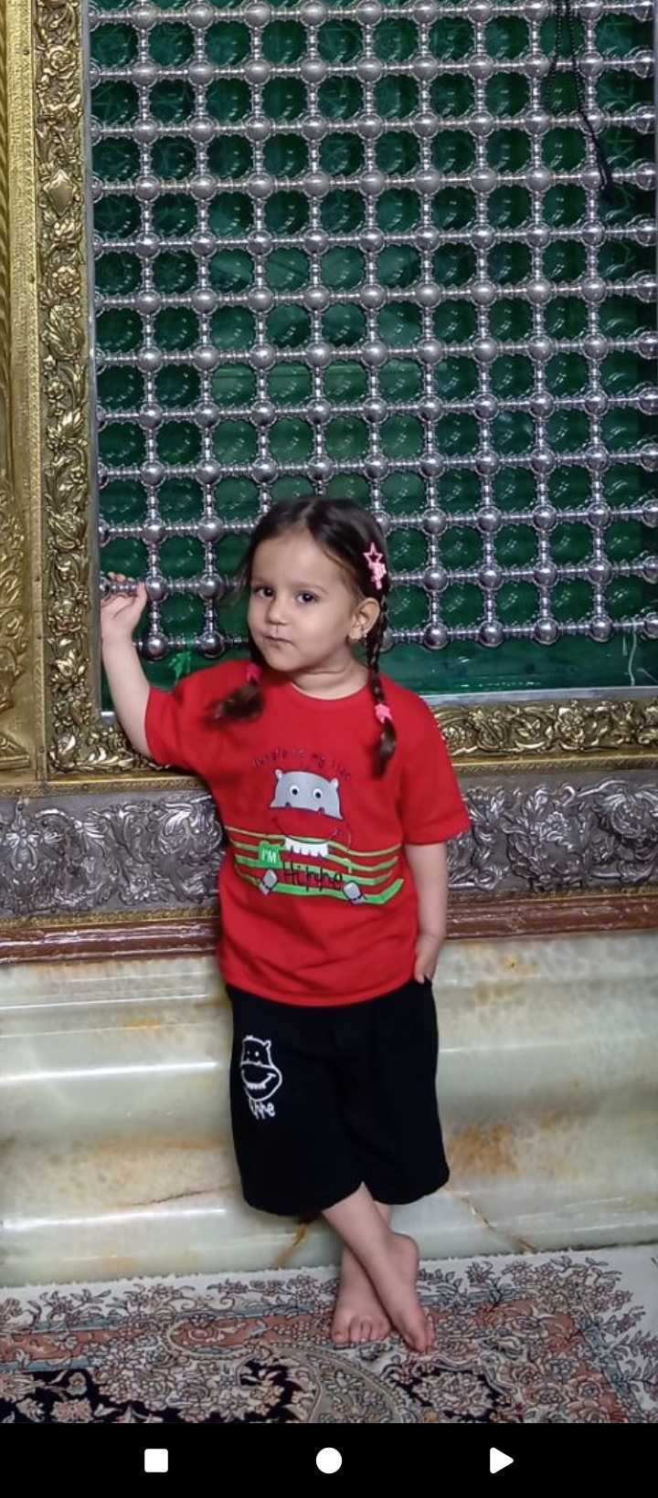 مجتبی رستمی