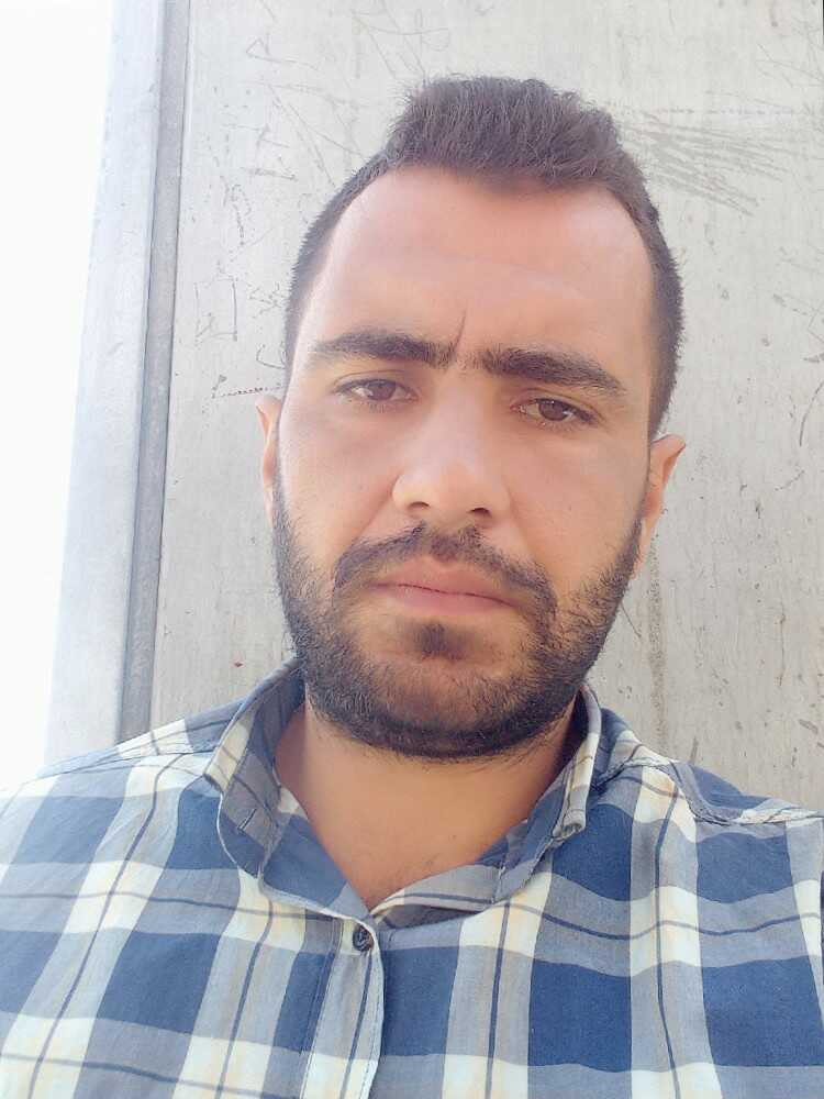 حامد احمدی