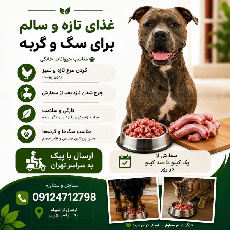 مهدیه سادات خوش نیت مقدم
