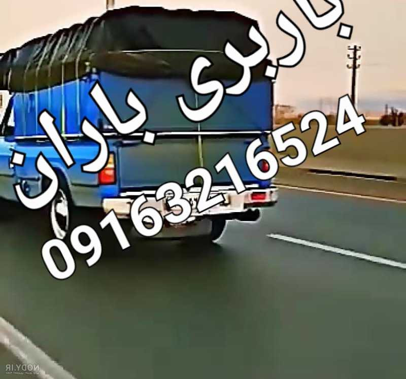 رضا باران پور