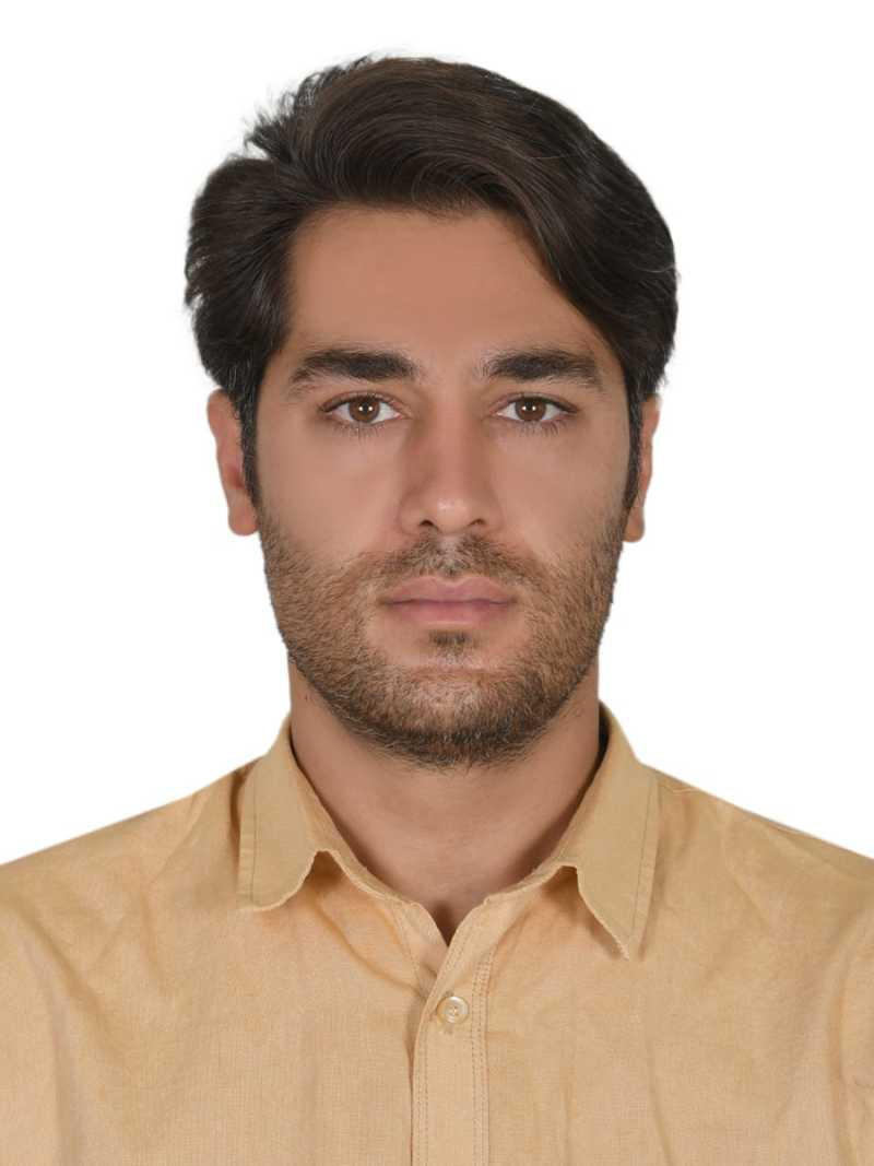 سيد حمزه موسوی