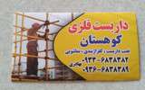 پوریا بهادری