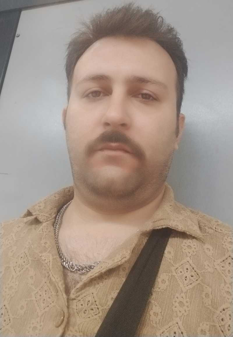 امیر تیموری