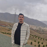 علیرضا بهرامی آرا