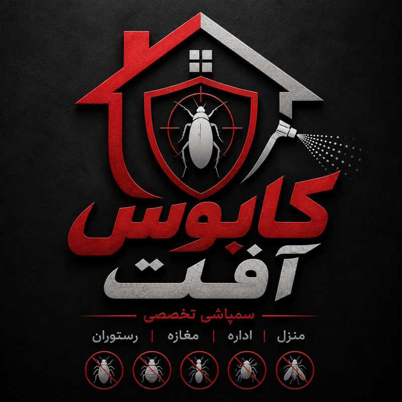provider user card avatar