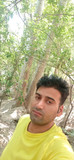 حسین گیتی