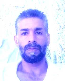 سیدنوید حسینی