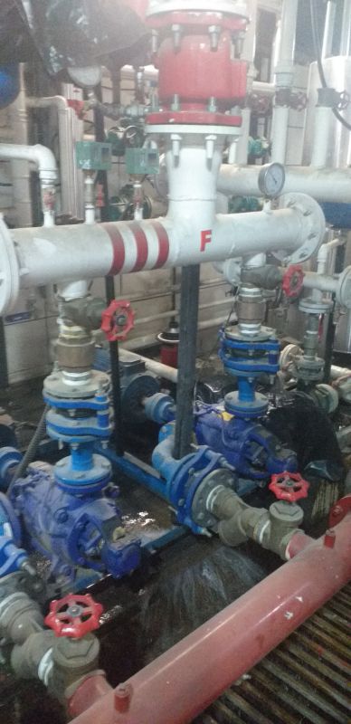 شایان قنبری