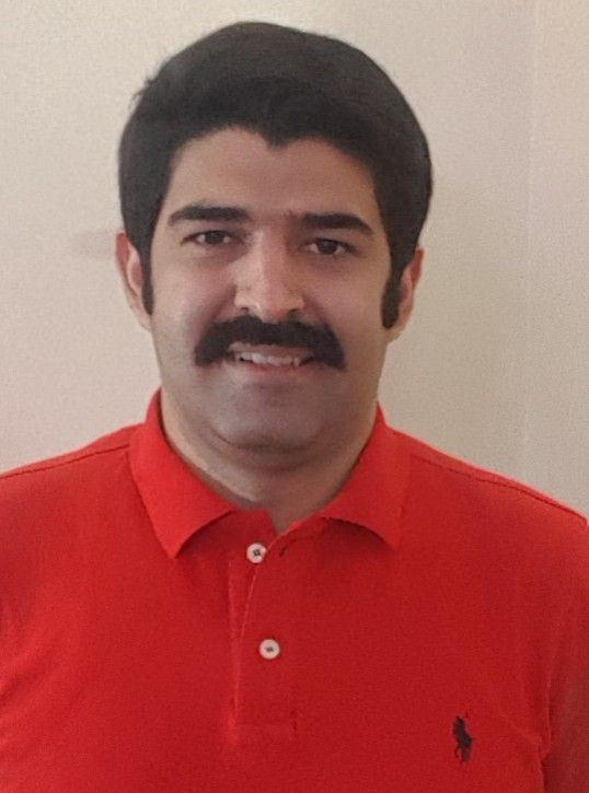 امیر حسام مقامی