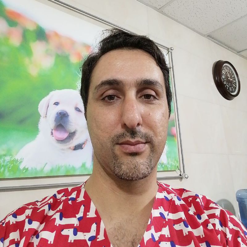 کلینیک دامپزشکی راد