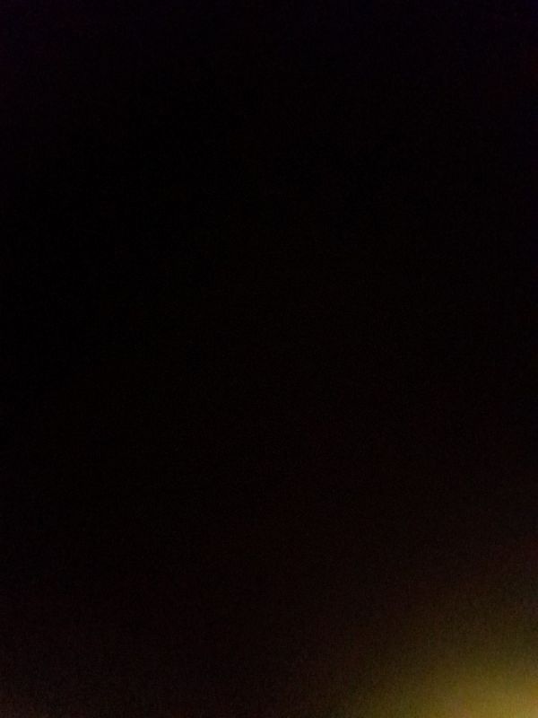 یاسر زارع دار