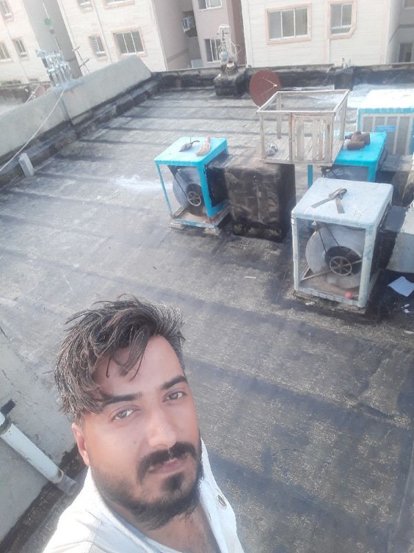 احمد شریفی
