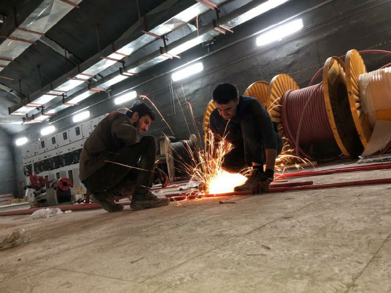 مرتضی رادعلی