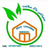 مهندس سمیرا فریدونی
