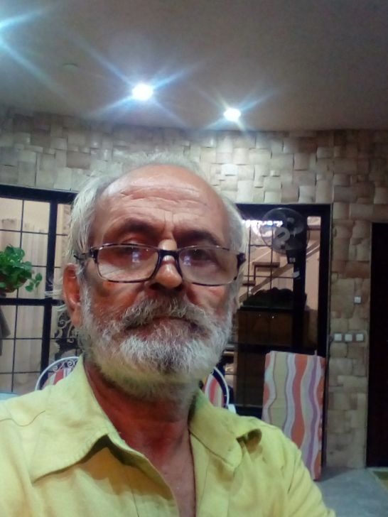 محمدتقی حسنی