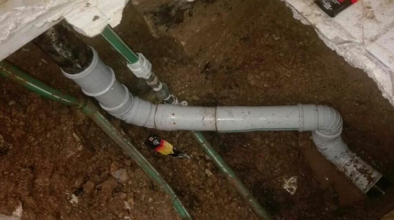 مهرداد قاسمی