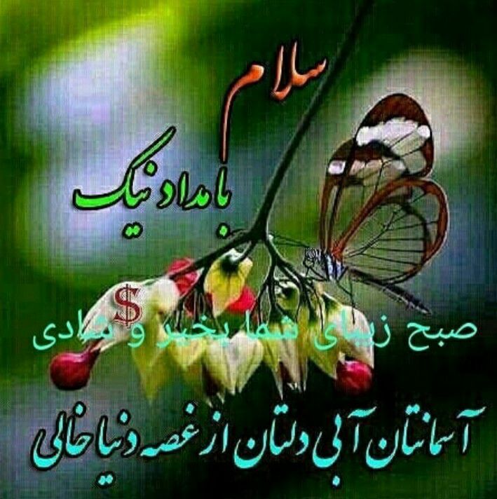 شرکت نظافتی ایرانیان