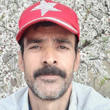 رضا عارفی