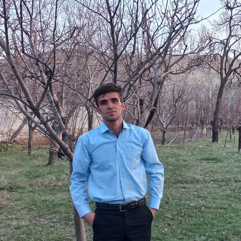 مجتبی میرزائی