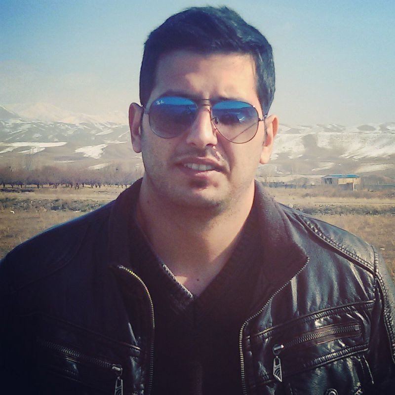 شاهین هلالی