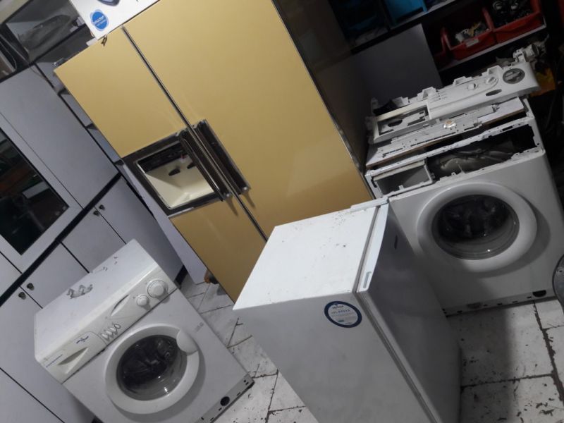 میلاد تقدسی شارک