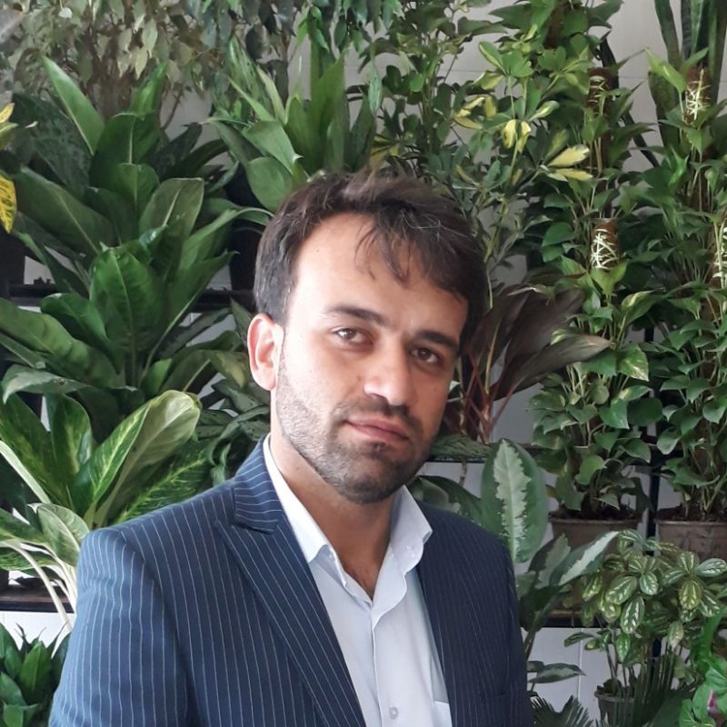 سعید امیری