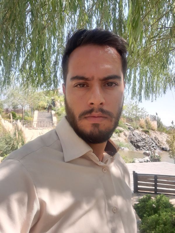 سید مصطفی میربزرگی